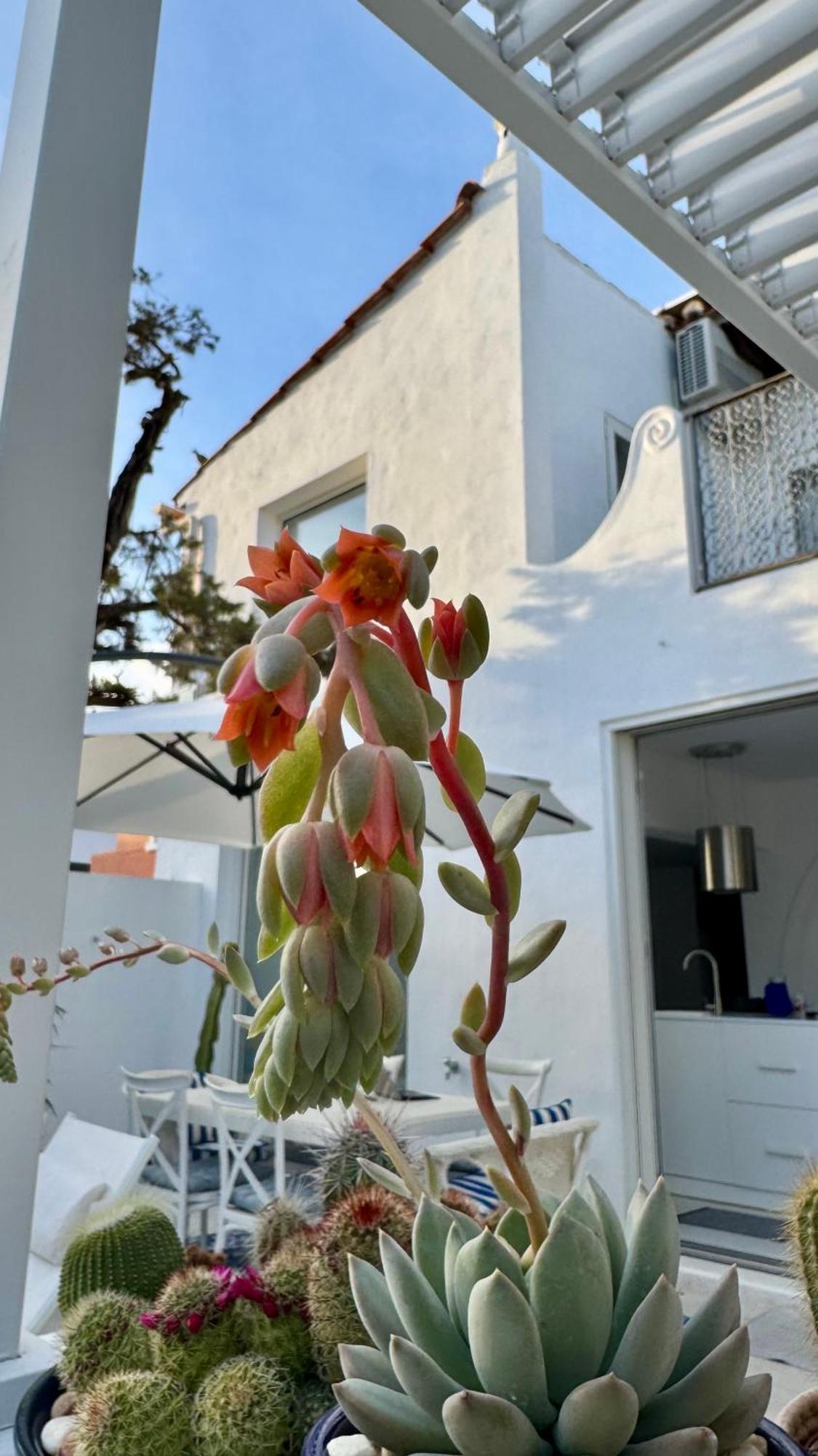 Casa Blu Marbella Villa Eksteriør bilde