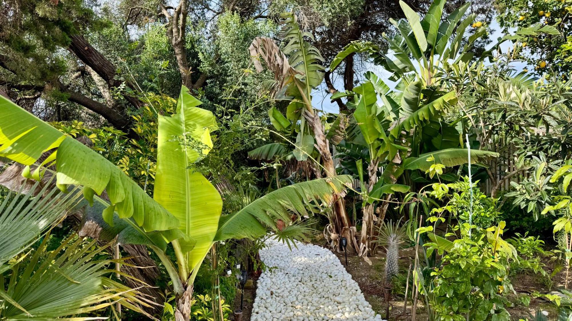 Casa Blu Marbella Villa Eksteriør bilde